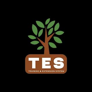 TES